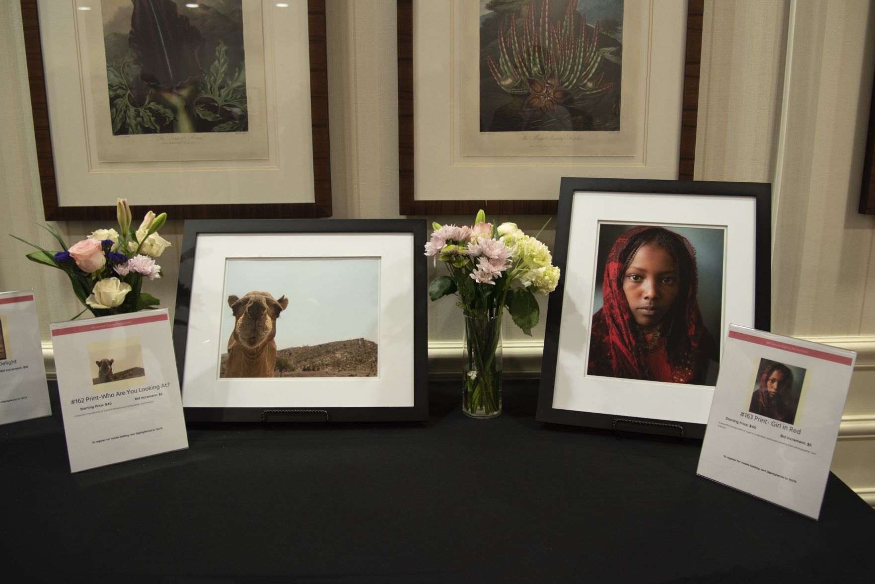 Dignity Period Gala Silent Auction